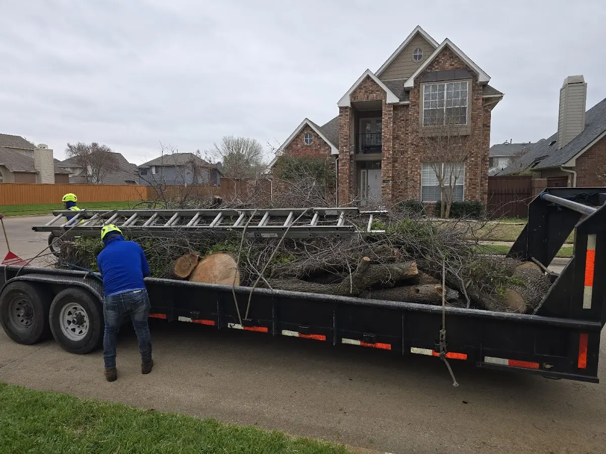 Expert Lot Clearing with proper safety equipment in Dryden